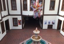 The Beginnings of Bulgarian Culture and Language