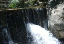 A Summer Retreat to the Mountains